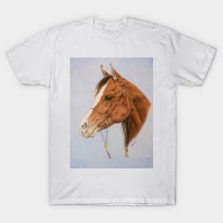 Young Arab Stallion T-Shirt